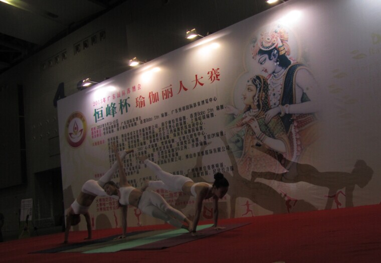 世界瑜伽公益发展论坛1