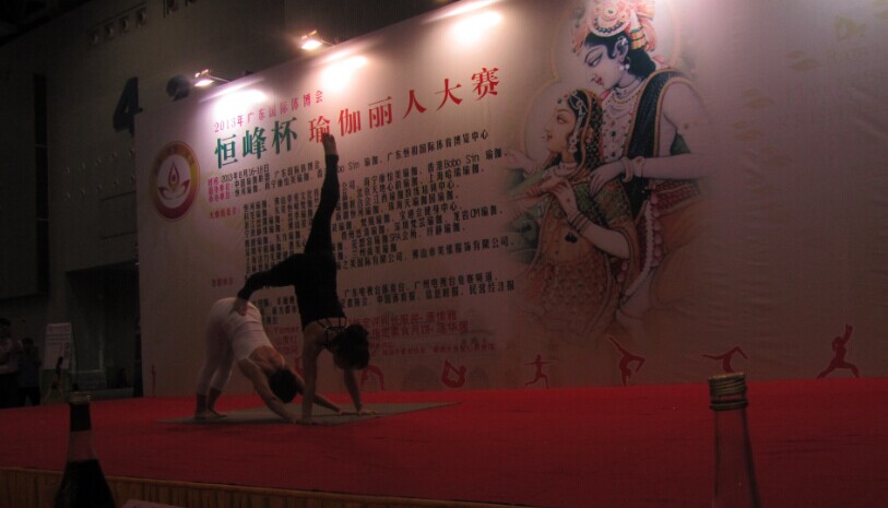 世界瑜伽公益发展论坛3