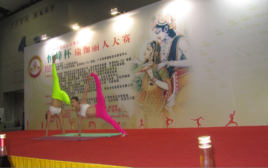 世界瑜伽公益发展论坛5